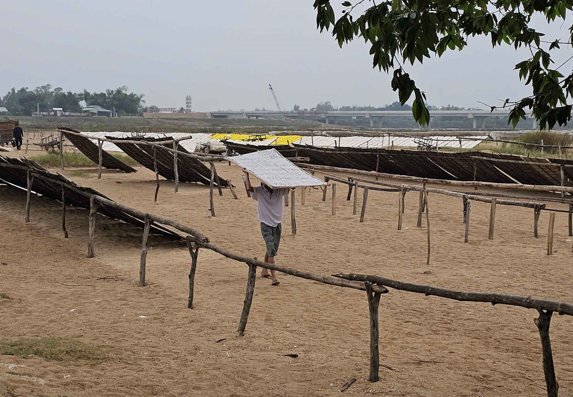 Bình Định: Làng nghề Bún – Bánh An Thái tất bật vào Tết Bình Định: Làng nghề Bún – Bánh An Thái tất bật vào Tết