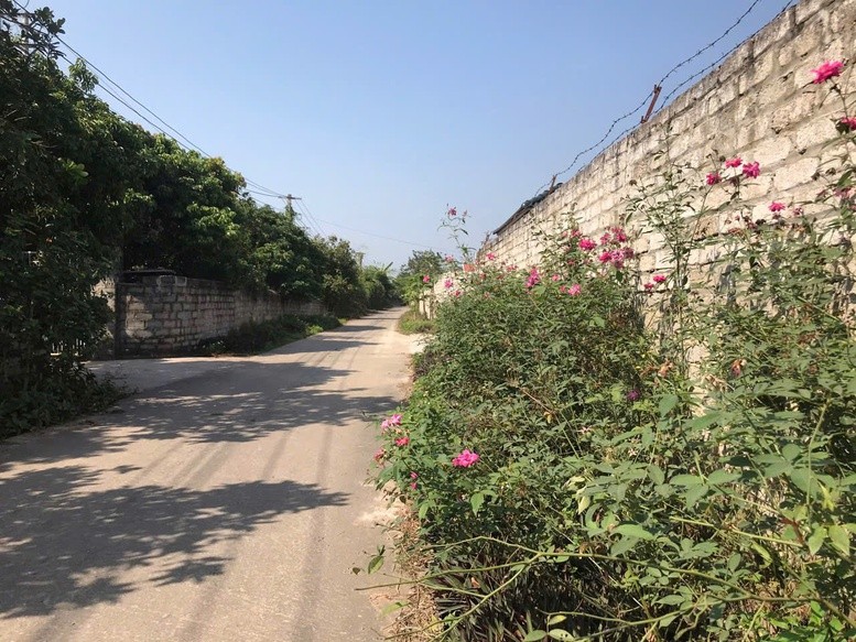 Những cung đường bình yên, khang trang, sạch đẹp từ chương trình xây dựng nông thôn mới của huyện Yên Thế, tỉnh Bắc Giang. Những cung đường bình yên, khang trang, sạch đẹp từ chương trình xây dựng nông thôn mới của huyện Yên Thế, tỉnh Bắc Giang.