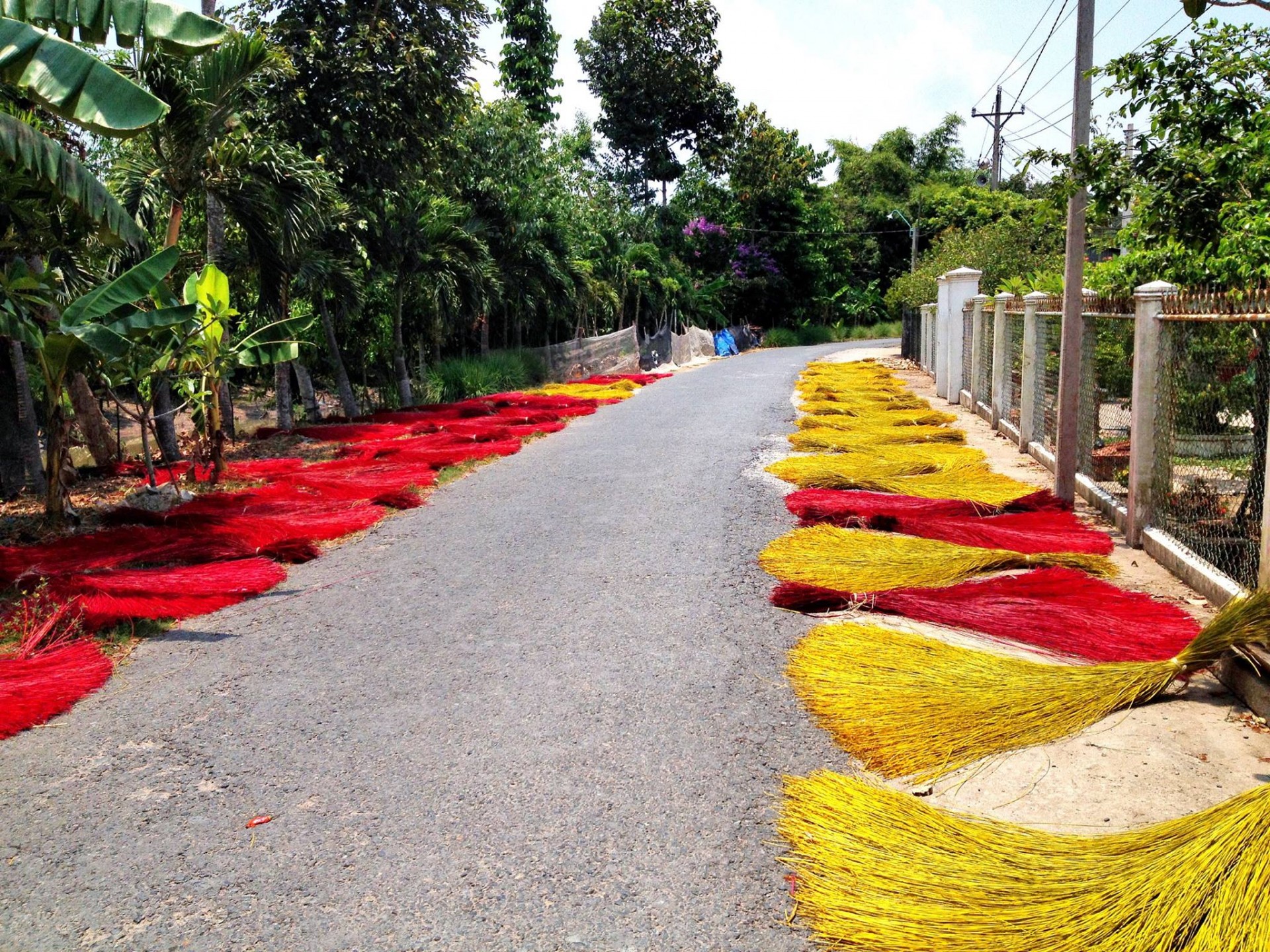 Làng chiếu Định Yên Đồng Tháp đã được công nhận là di sản văn hoá phi vật thể quốc gia