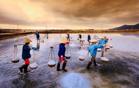 Festival nghề muối Việt Nam
