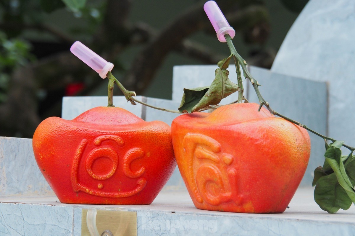 Bưởi đỏ Đông Cao được chia làm hai loại: bưởi bánh men và bưởi trái nũm được ép khuôn tạo hình hai chữ tài, lộc ngay từ khi quả còn non. Quá trình được ép khuôn tạo hình hai chữ tài, lộc ngay từ khi quả còn non. Quá trình tạo hình bưởi đòi hỏi sự kỳ công từ người trồng. Bưởi đỏ Đông Cao được tiêu tạo hình bưởi đòi hỏi sự kỳ công từ người trồng. Bưởi đỏ Đông Cao được tiêu thụ ở hầu khắp các tỉnh thành trên cả nước.thụ ở hầu khắp các tỉnh thành trên cả nước.