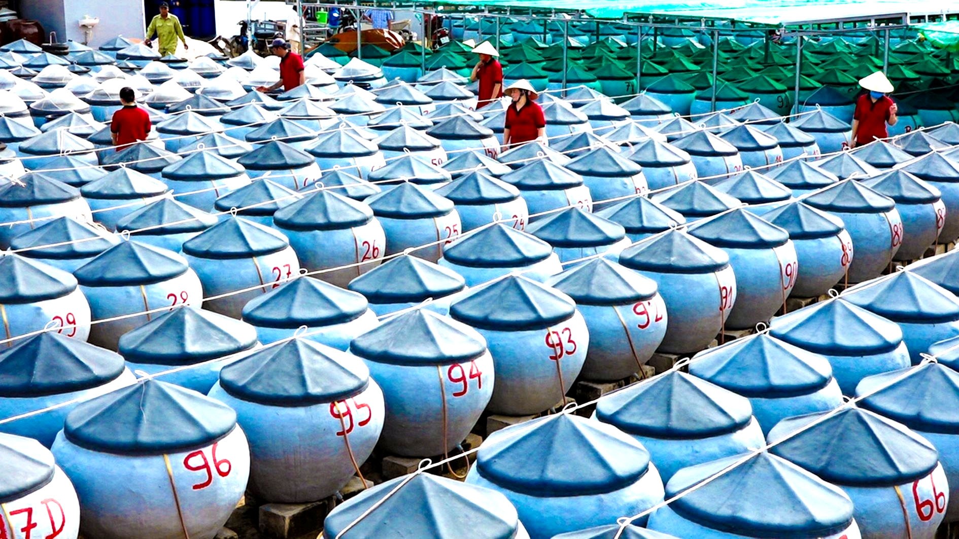 Bình Thuận: Nước mắm OCOP 4 sao và con đường xuất ngoại Bình Thuận: Nước mắm OCOP 4 sao và con đường xuất ngoại