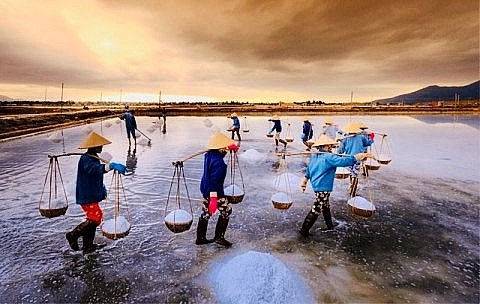 Festival nghề muối Việt Nam