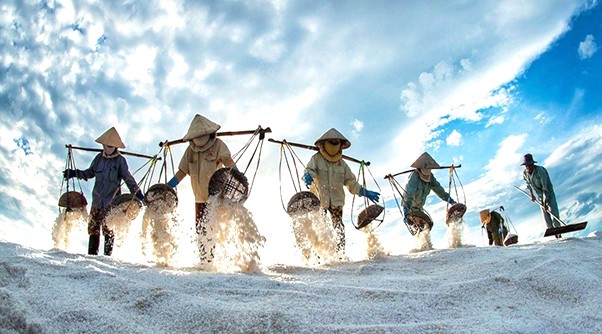 Nghề làm muối Bạc Liêu Tinh hoa đến từ biển cả Nghề làm muối Bạc Liêu Tinh hoa đến từ biển cả