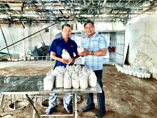 Hải Phòng: Hỗ trợ máy móc thiết bị tiên tiến vào sản xuất đối với cơ sở công nghiệp nông thôn