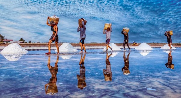 Nghề làm muối Bạc Liêu Tinh hoa đến từ biển cả Nghề làm muối Bạc Liêu Tinh hoa đến từ biển cả