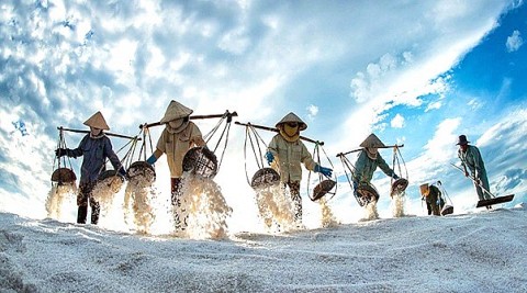 Nghề làm muối Bạc Liêu Tinh hoa đến từ biển cả