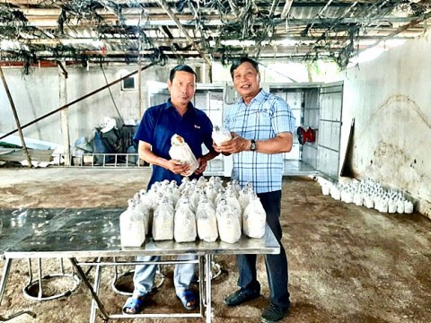 hai phong ho tro may moc thiet bi tien tien vao san xuat doi voi co so cong nghiep nong thon