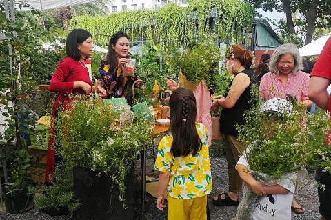 mang huong mui gia vao mien nam ban tet