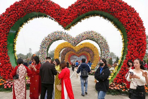 Festival hoa Mê Linh lần thứ 2 Vinh danh giá trị nghề trồng hoa