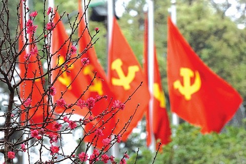 dang mai mai la mua xuan