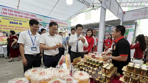 san pham ocop gop phan lan toa tinh hoa van hoa am thuc nam dinh
