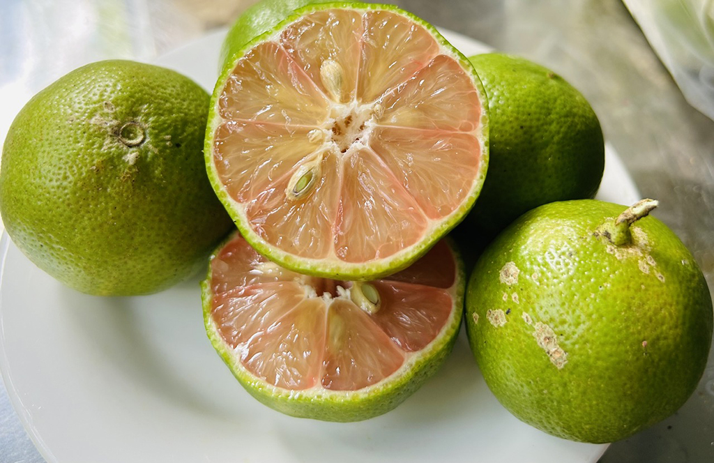 Ăn gì để thanh lọc cơ thể trong dịp tết?
