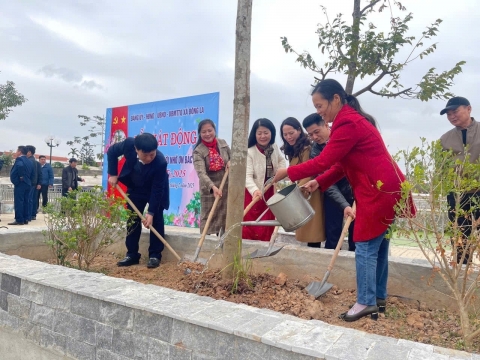 hoai duc phan dau trong 15000 cay cac loai trong nam 2025