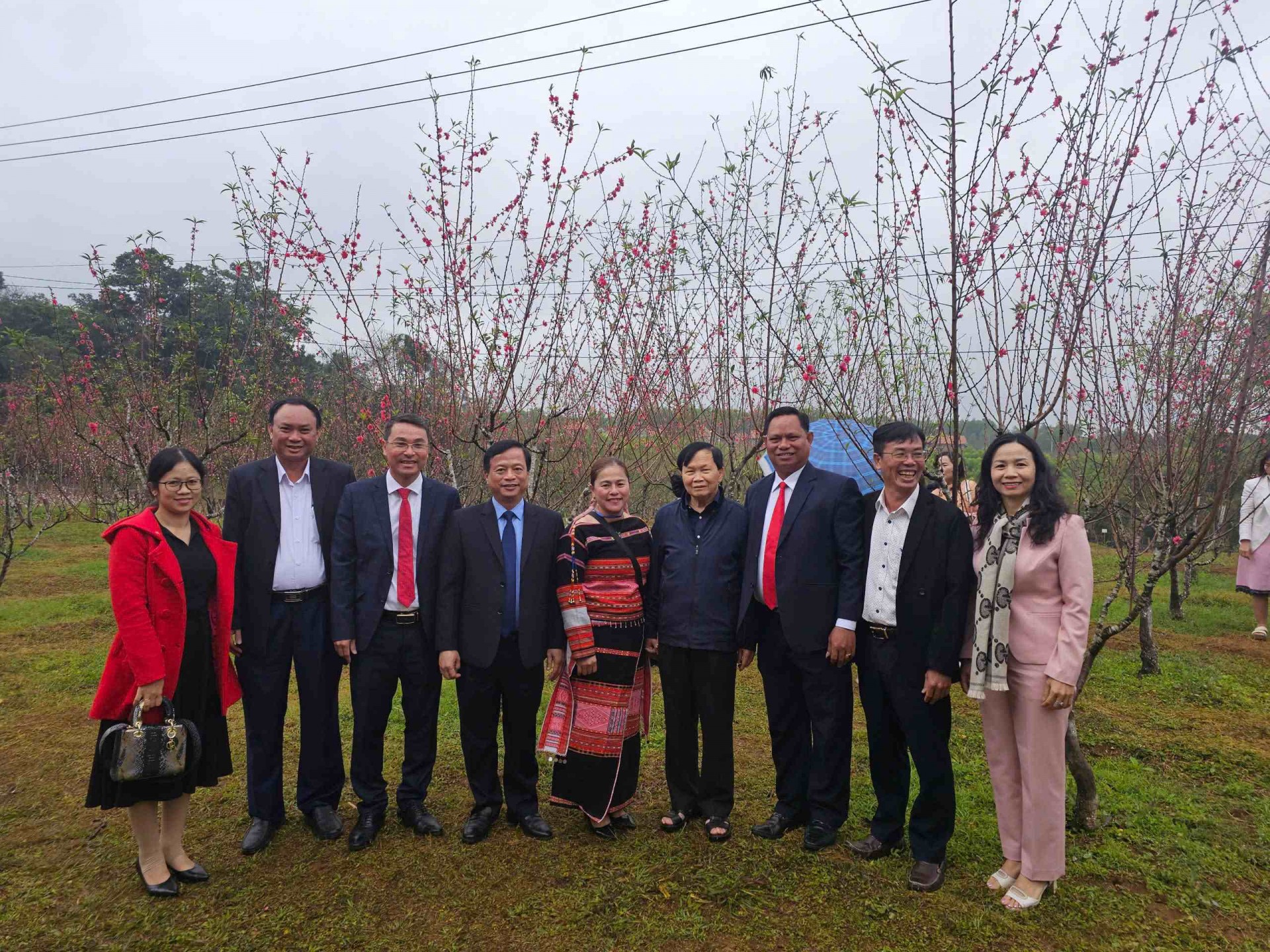 Bình Định: Sắc hồng khoe thắm nơi cổng trời Vĩnh Sơn Bình Định: Sắc hồng khoe thắm nơi cổng trời Vĩnh Sơn