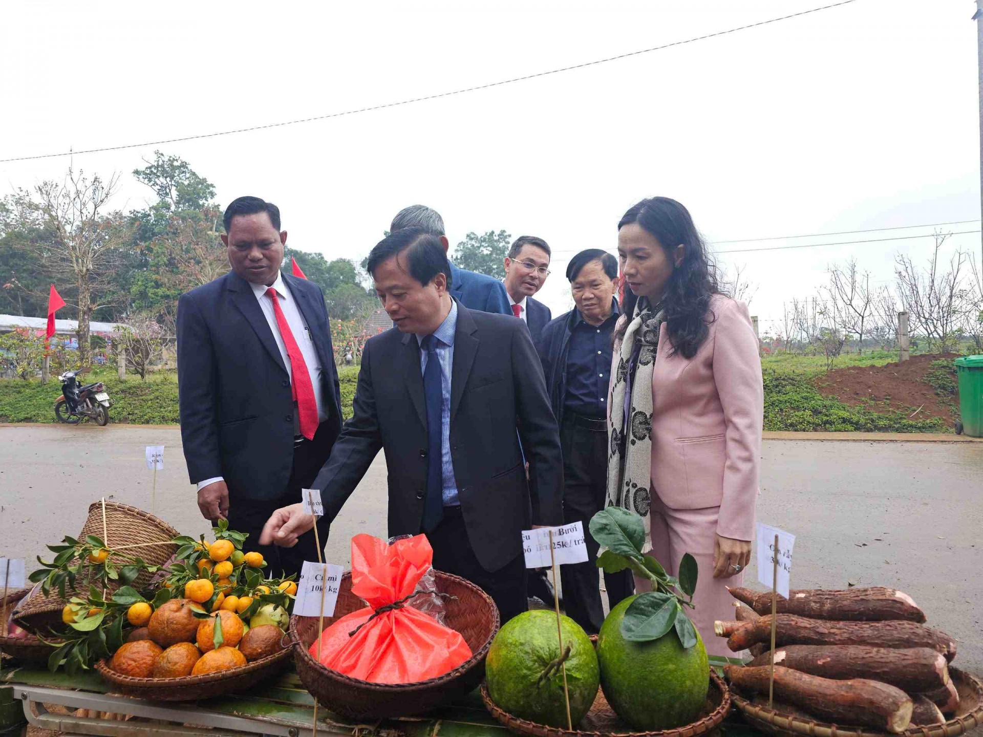 Bình Định: Sắc hồng khoe thắm nơi cổng trời Vĩnh Sơn Bình Định: Sắc hồng khoe thắm nơi cổng trời Vĩnh Sơn