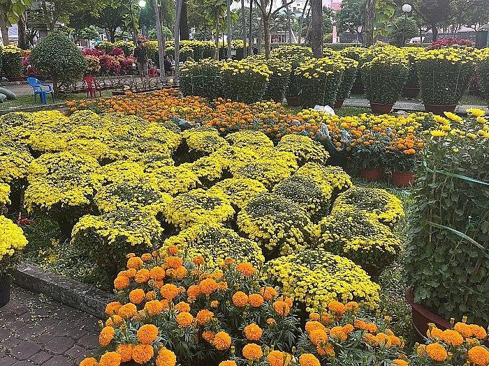 Nhiều sự kiện đặc sắc như Đường hoa Nguyễn Huệ với chủ đề “Non sông gấm hoa, vui Xuân thái hòa”; chợ hoa Xuân “Trên Bến dưới Thuyề”; “Đường hoa nghĩa tình” và “Hội hoa xuân Phú Mỹ Hưng” (Quận 7) đã thu hút hàng triệu lượt khách tham quan thành phố