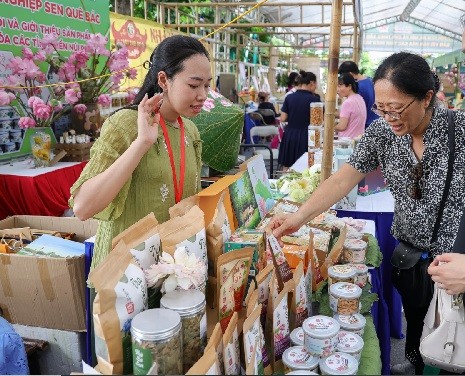 Hà Nội công nhận 108 sản phẩm OCOP đạt tiêu chuẩn 4 sao Hà Nội công nhận 108 sản phẩm OCOP đạt tiêu chuẩn 4 sao