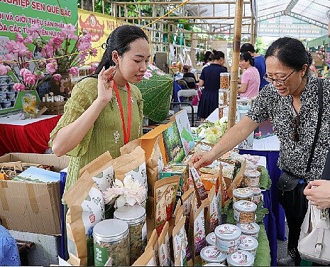 Hà Nội công nhận 108 sản phẩm OCOP đạt tiêu chuẩn 4 sao