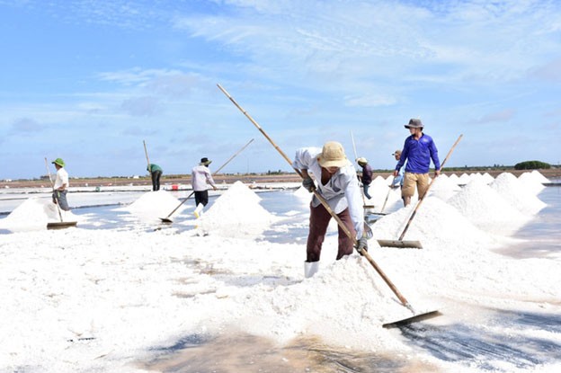 Nhiều sự kiện nổi bật tại Festival muối Việt Nam - Bạc Liêu 2025 Nhiều sự kiện nổi bật tại Festival muối Việt Nam - Bạc Liêu 2025