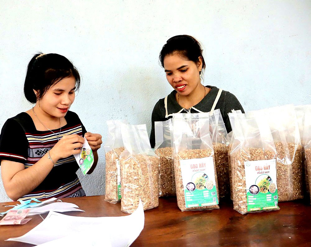 Sản phẩm gạo rẫy của Hợp tác xã Nông nghiệp Ba Tô, huyện Ba Tơ được đóng gói, in logo