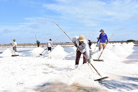 nhieu su kien noi bat tai festival muoi viet nam bac lieu 2025