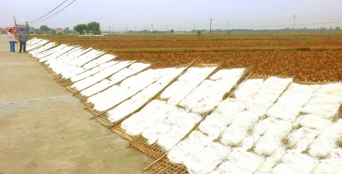 Làng bánh đa Dụ Đại - Giữ gìn di sản làng nghề truyền thống