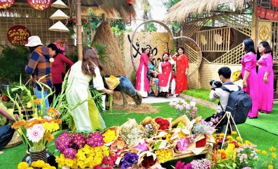 Hòa Vang rộn ràng sắc xuân lễ hội tết Ất tỵ 2025 Hòa Vang rộn ràng sắc xuân lễ hội tết Ất tỵ 2025