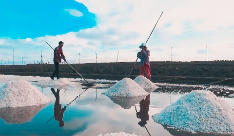 Sắp diễn ra Festival Hành trình 100 năm nghề muối - Đời người