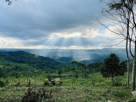 binh dinh du lich sinh thai gan ket quang ba san pham ocop duoc lieu
