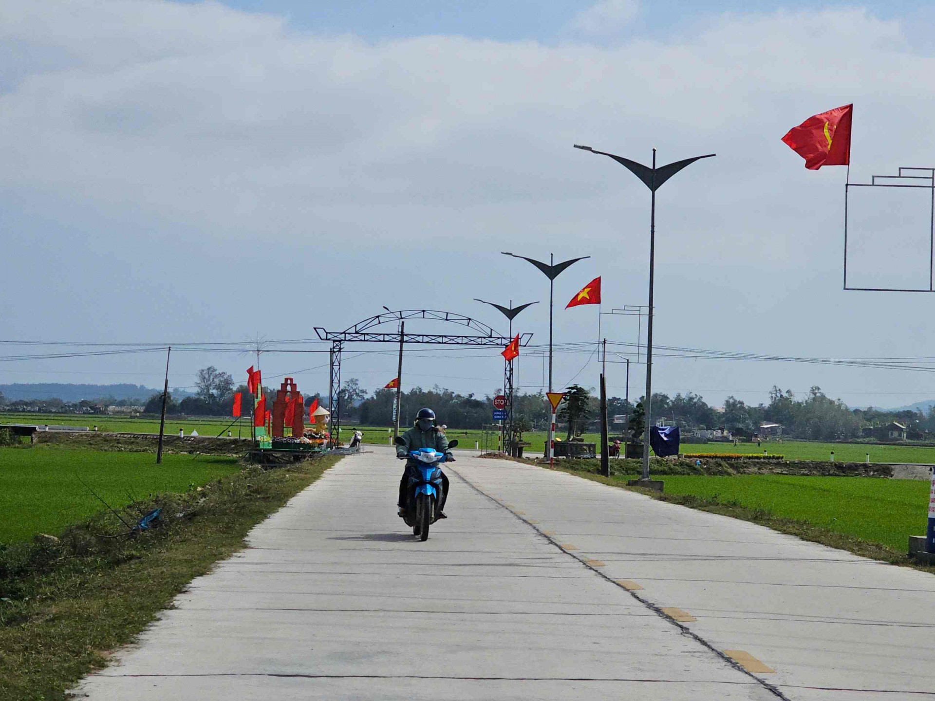 Bình Định: Phát triển du lịch nông thôn tại Làng nghề trồng hoa Bình lâm