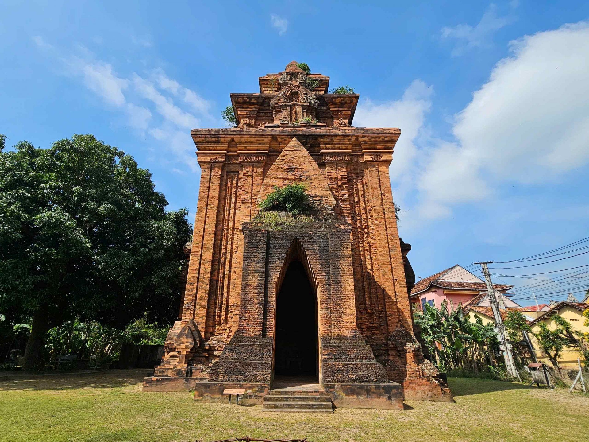 Bình Định: Phát triển du lịch nông thôn tại Làng nghề trồng hoa Bình lâm