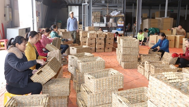 Sản phẩm từ bèo tây của Công ty CP Sản xuất - Chế biến cói xuất khẩu Việt Anh ở xã Nga An được xuất khẩu sang Hoa Kỳ. Sản phẩm từ bèo tây của Công ty CP Sản xuất - Chế biến cói xuất khẩu Việt Anh ở xã Nga An được xuất khẩu sang Hoa Kỳ.