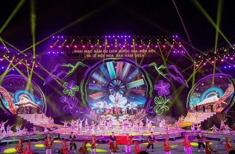 sap dien ra le hoi hoa ban nam 2025 voi nhieu hoat dong hap dan