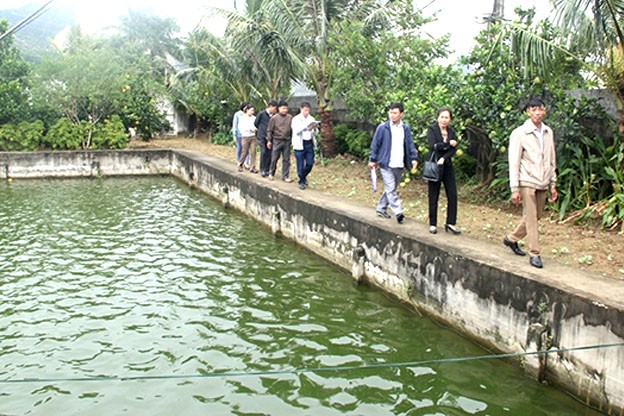 Mô hình sản xuất với môi trường xanh - sạch - đẹp của anh Hà Thịnh Hưng ở xã Nga An (Nga Sơn). Mô hình sản xuất với môi trường xanh - sạch - đẹp của anh Hà Thịnh Hưng ở xã Nga An (Nga Sơn).