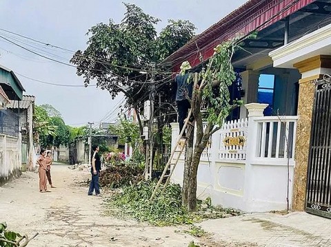 thanh hoa vinh phuc huong toi dat chuan nong thon moi nang cao