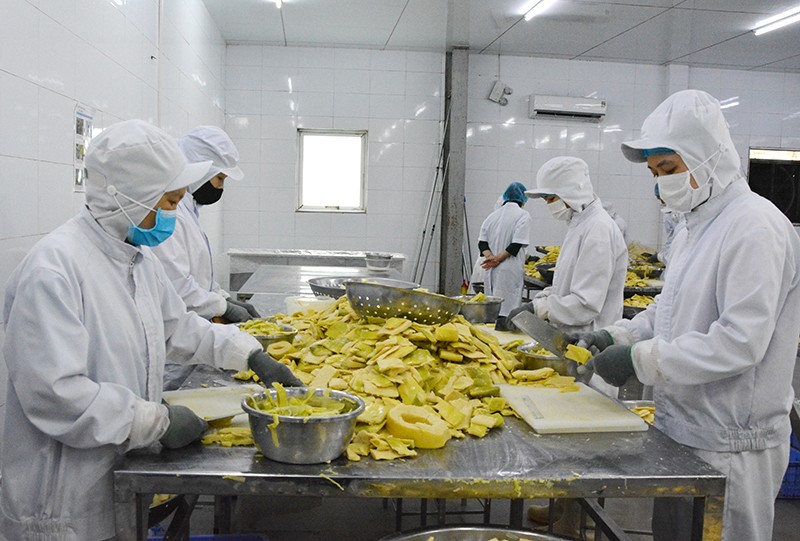 Doanh nghiệp Yên Bái tích cực đồng hành, đóng góp quan trọng Doanh nghiệp Yên Bái tích cực đồng hành, đóng góp quan trọng