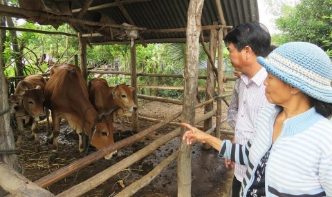 cau noi giup dan xay dung nong thon moi va cuoc song am no hanh phuc