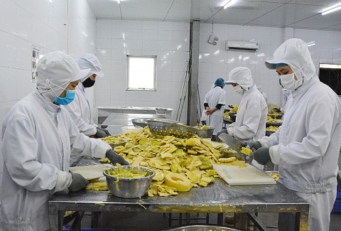 doanh nghiep yen bai tich cuc dong hanh dong gop quan trong