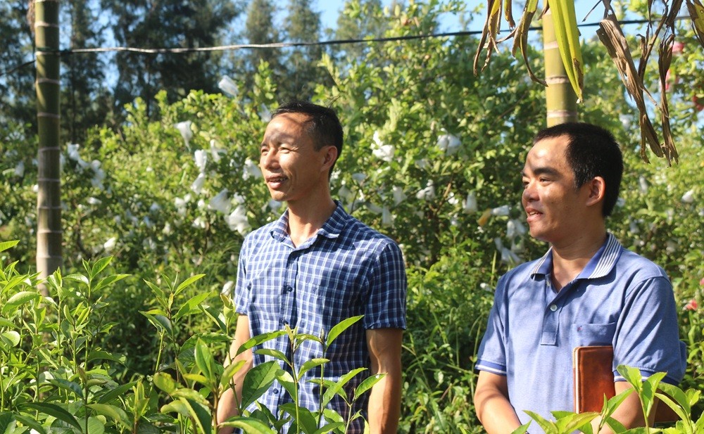 Anh Lê Đình Quả (bên trái) đang chỉ dẫn về từng không gian, vị trí được quy hoạch để trồng rau, củ, quả trong trang trại Anh Lê Đình Quả (bên trái) đang chỉ dẫn về từng không gian, vị trí được quy hoạch để trồng rau, củ, quả trong trang trại