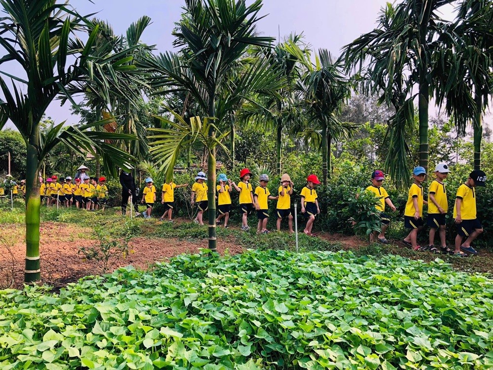 Người tiêu dùng ưu tiên lựa chọn sản phẩm rau, quả được trồng hữu cơ vì đảm bảo chất lượng và sức khỏe Người tiêu dùng ưu tiên lựa chọn sản phẩm rau, quả được trồng hữu cơ vì đảm bảo chất lượng và sức khỏe