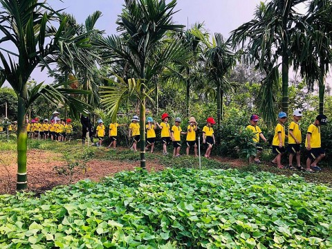 Vợ chồng thạc sĩ về quê làm nông dân thu lãi tiền tỷ