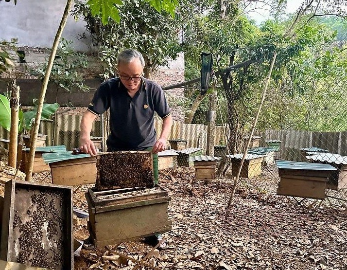 Mô hình nuôi ong lấy mật của ông Vũ Hồng Chương (phường Tân Thịnh, TP Hòa Bình) cho hiệu quả kinh tế khá. Mô hình nuôi ong lấy mật của ông Vũ Hồng Chương (phường Tân Thịnh, TP Hòa Bình) cho hiệu quả kinh tế khá.