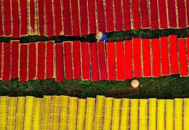 Nghề làm bột khoai Tây Ninh: Bí quyết giữ gìn hương vị truyền thống Nghề làm bột khoai Tây Ninh: Bí quyết giữ gìn hương vị truyền thống