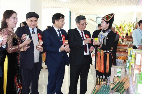 xay dung san pham ocop tu nong san dac trung