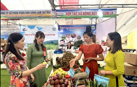 son la nang cao gia tri cac san pham ocop