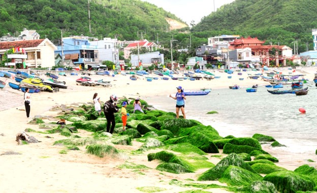 Làng chài Nhơn Hải vào mùa rêu xanh