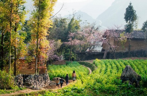 Khi xuân chạm đất trời