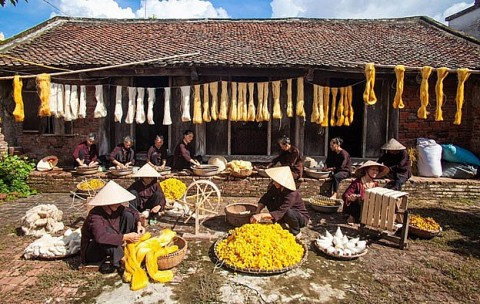 thai binh dua nghe det dui vuon xa