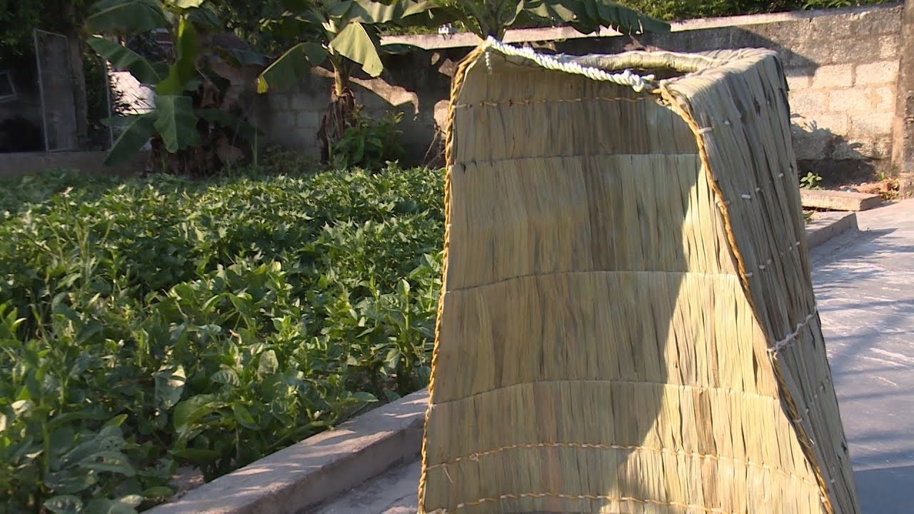 Áo tơi: Sự khéo léo trong việc sử dụng tài nguyên thiên nhiên